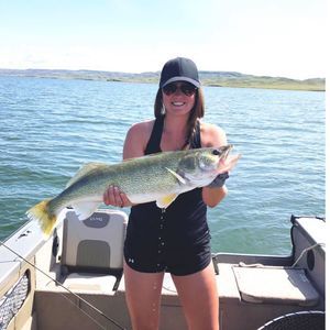 Meet your Posher, Kara